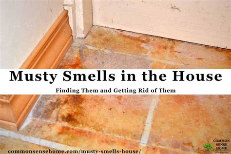 why does my house smell like metal|pungent odor in house.